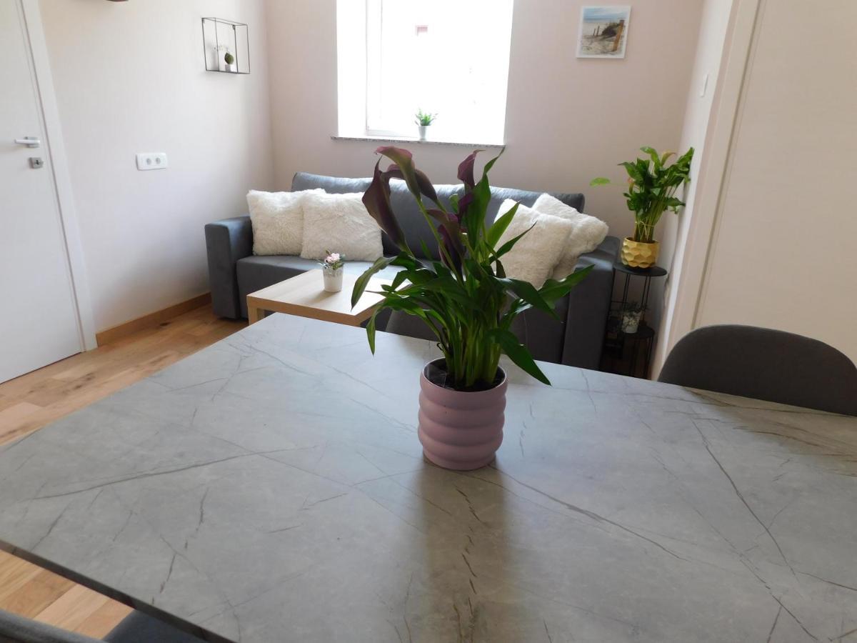 Ferienwohnung Hisa Limoni Koper Exterior foto